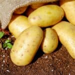 What Does It Mean When You Dream About Potatoes? Exploring the Symbolism of Potatoes in Dreams