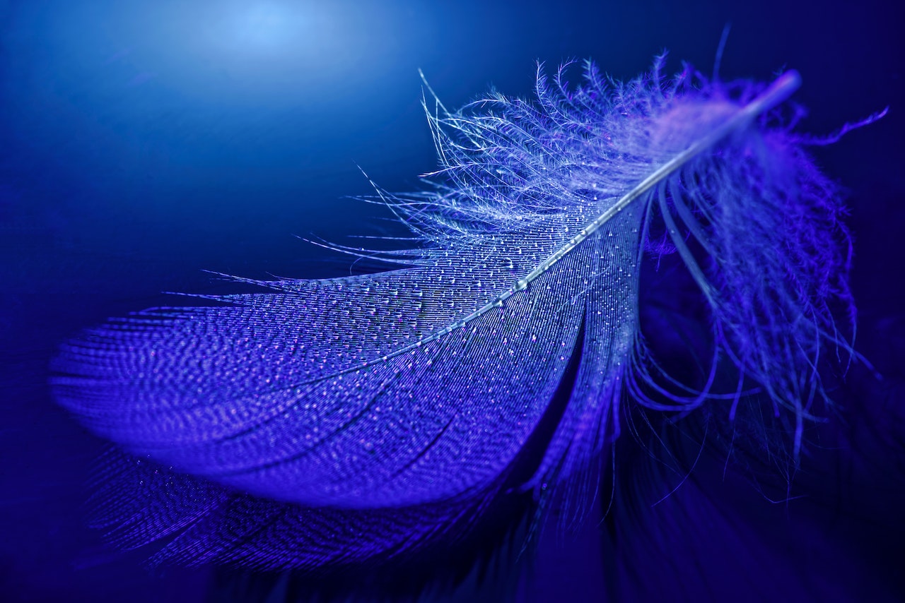 feather